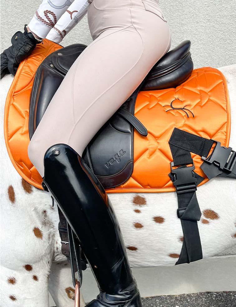 CORE by D: Next-Generation Training Aids for Stronger, More Balanced Horses