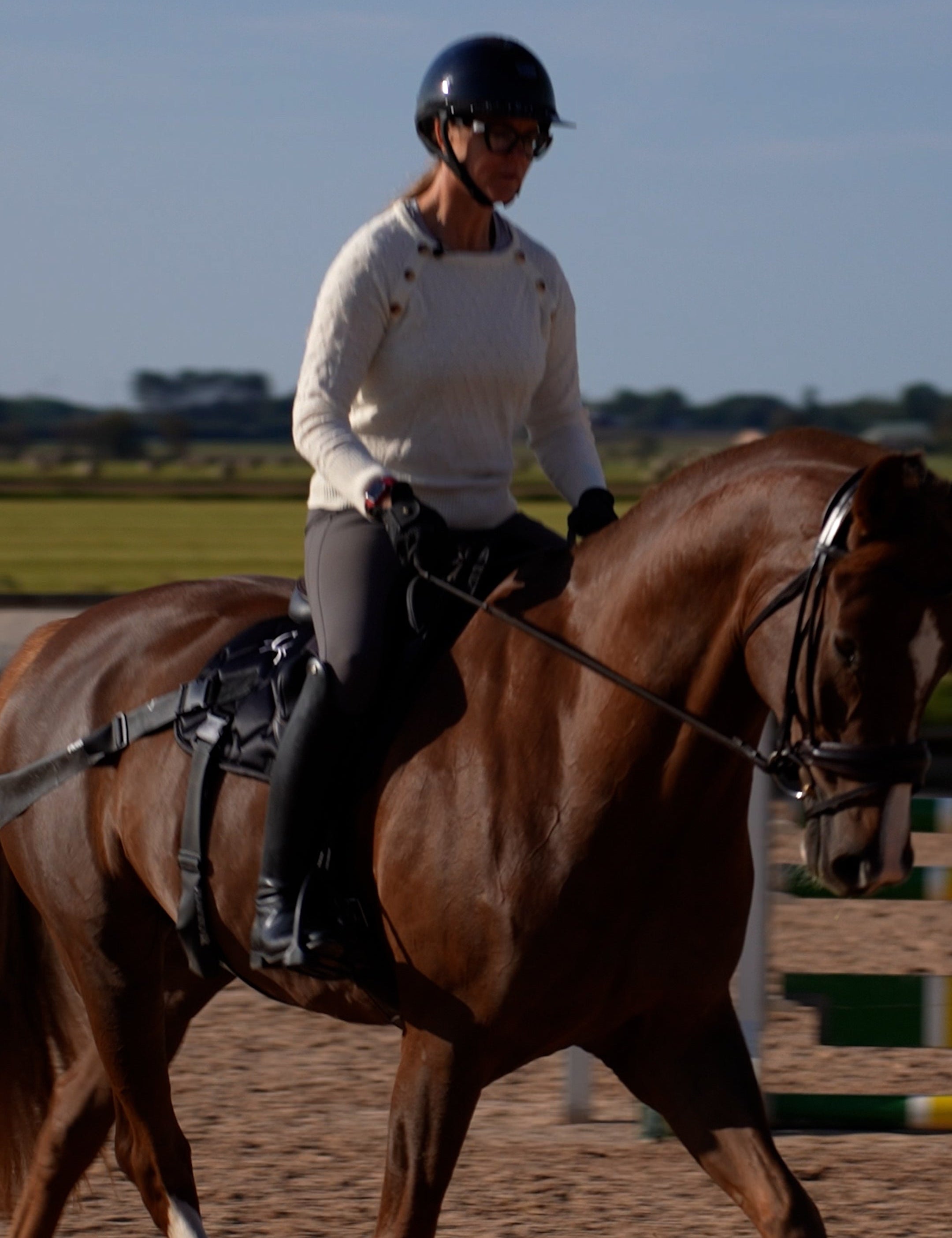 Horse being lunged wearing CORE by D saddle pad with elastic training bands
