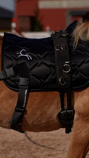 CORE by D – Komplettes paket